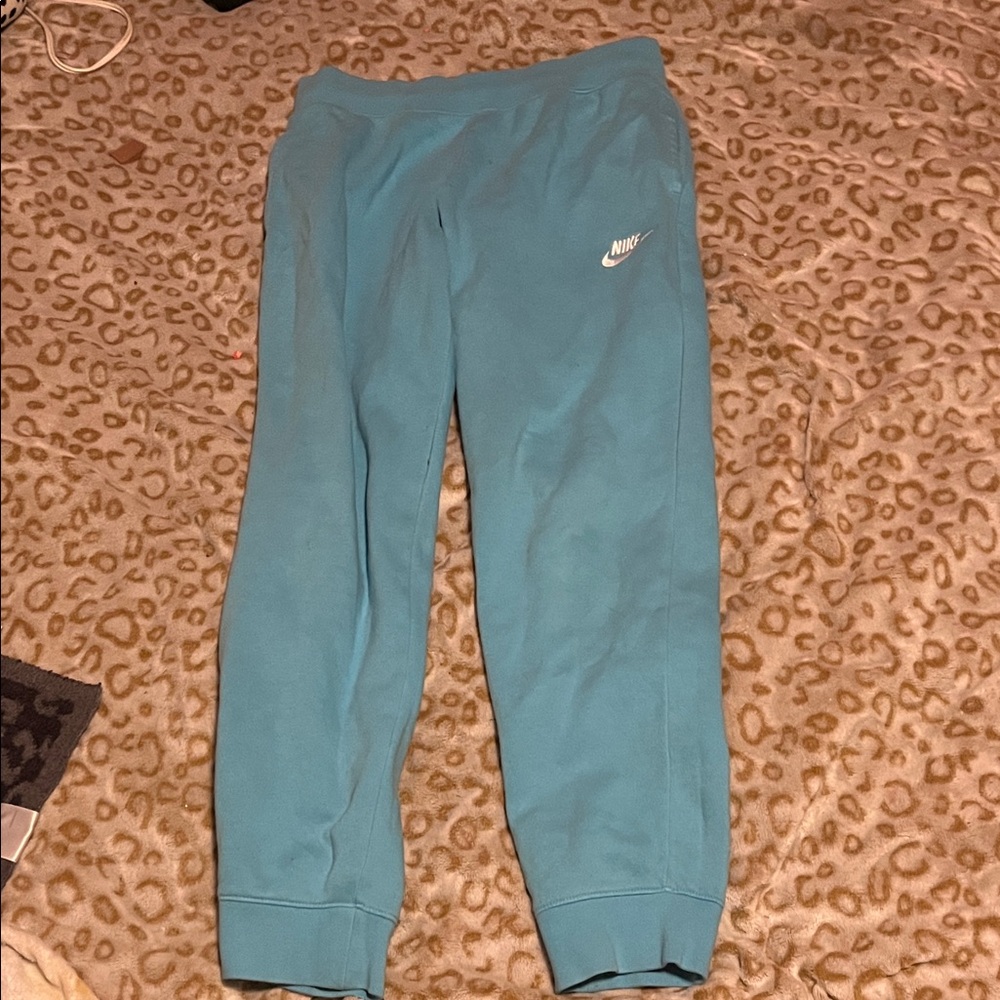 Nike Kids Teal Joggers